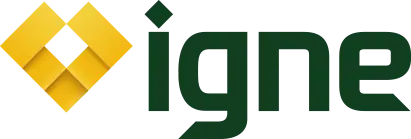 the igne logo in green designed by the visual works