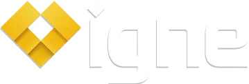 igne logo designed by the visual works
